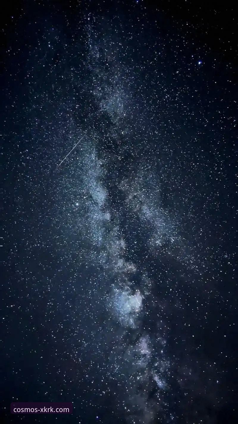 星空入口官网手机版：从下载到精通操作教程